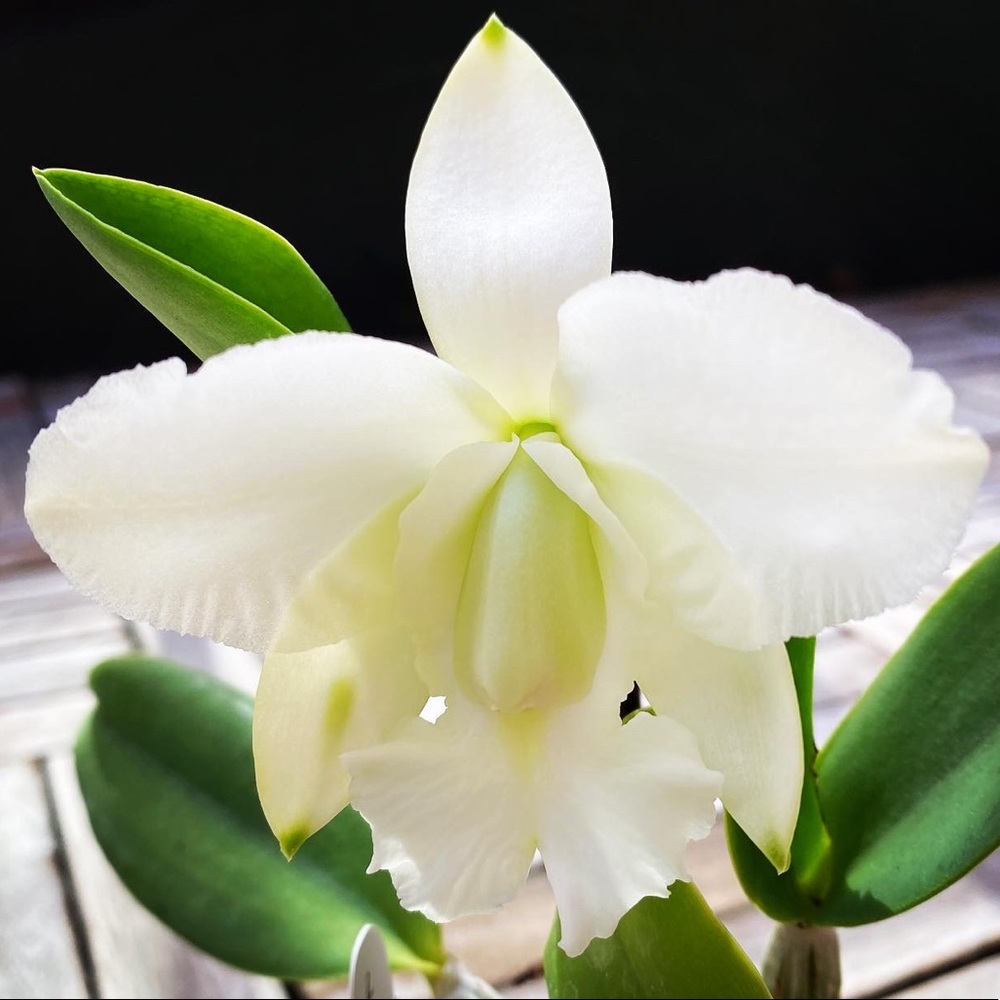 Meet your Posher, Derek